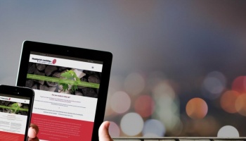 Foto de A importância de ter um site profissional